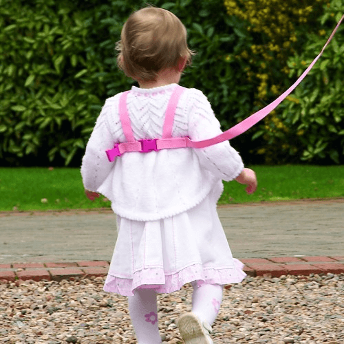 child harness and reins