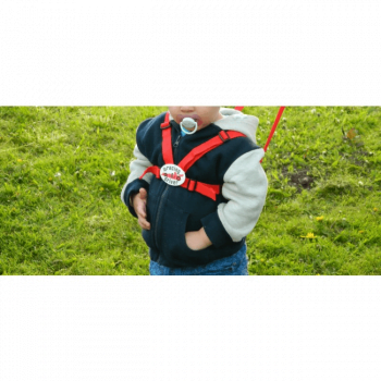 clippasafe baby carrier