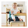 Munchkin Travel Booster Seat