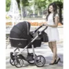 Venicci Silver 3 in 1 Travel System - Black 3