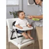 Chicco Chairy Booster Seat Sweetdog 17