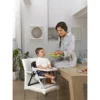 Chicco Chairy Booster Seat Sweetdog 19