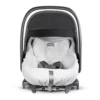 Inglesina car seat summercover