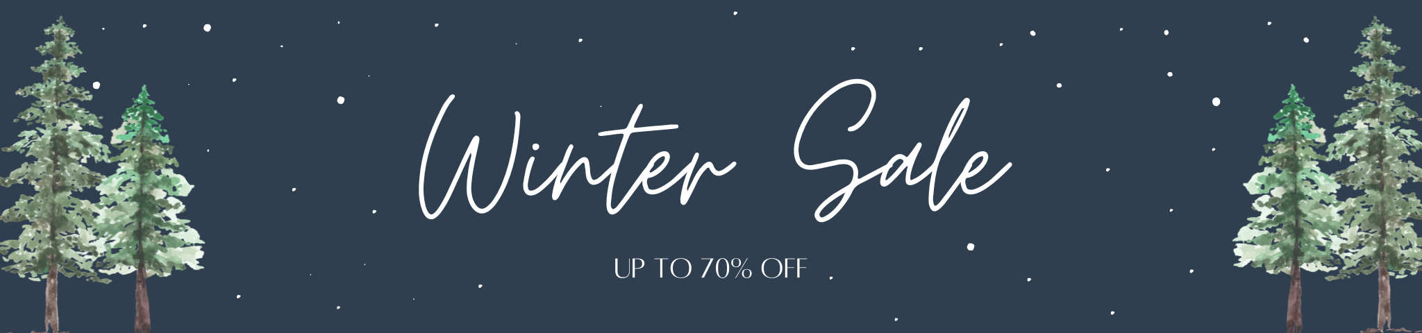 Winter Sale - Sale Page Desktop Banner