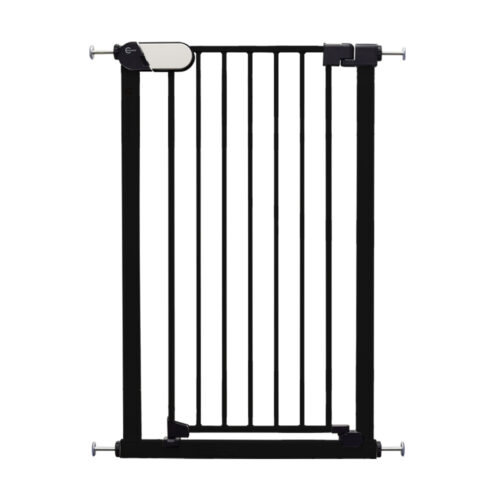 Saluki-black-gate