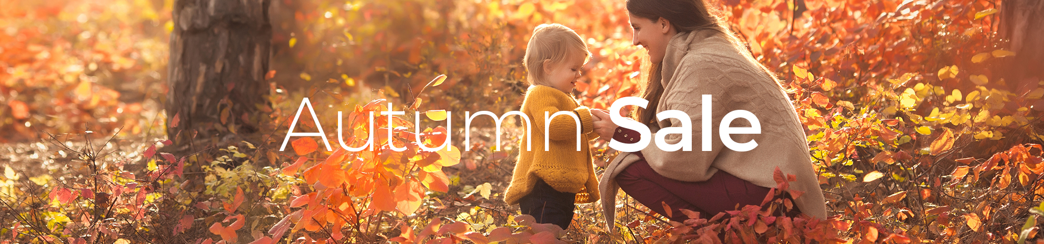 Sale-banner-Autumn-D-2048x480